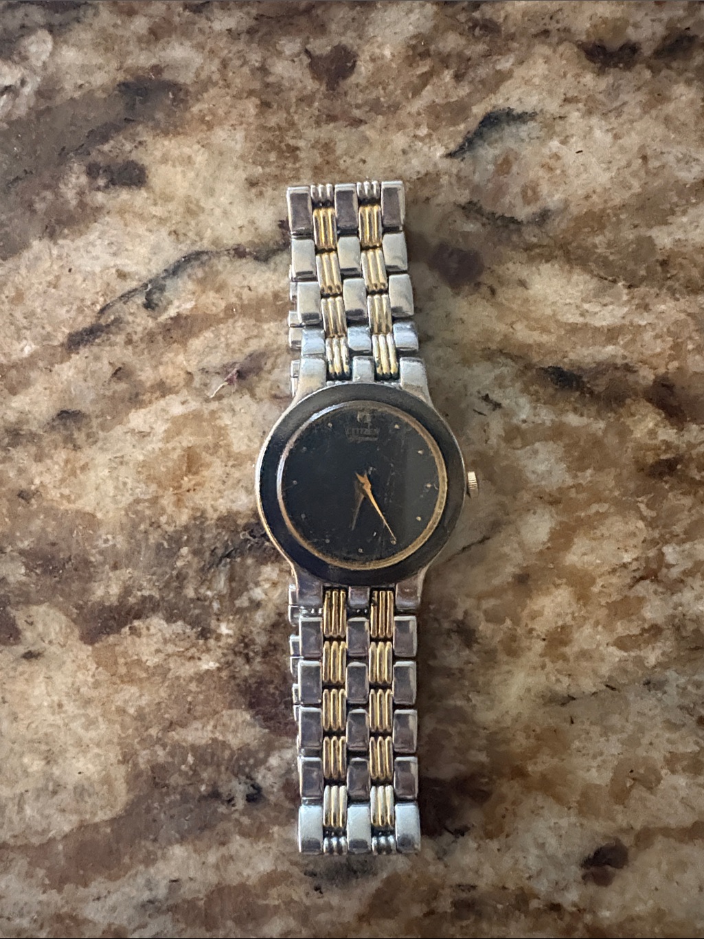 TwoTone Stainless Steel Wristwatch With Black Dial